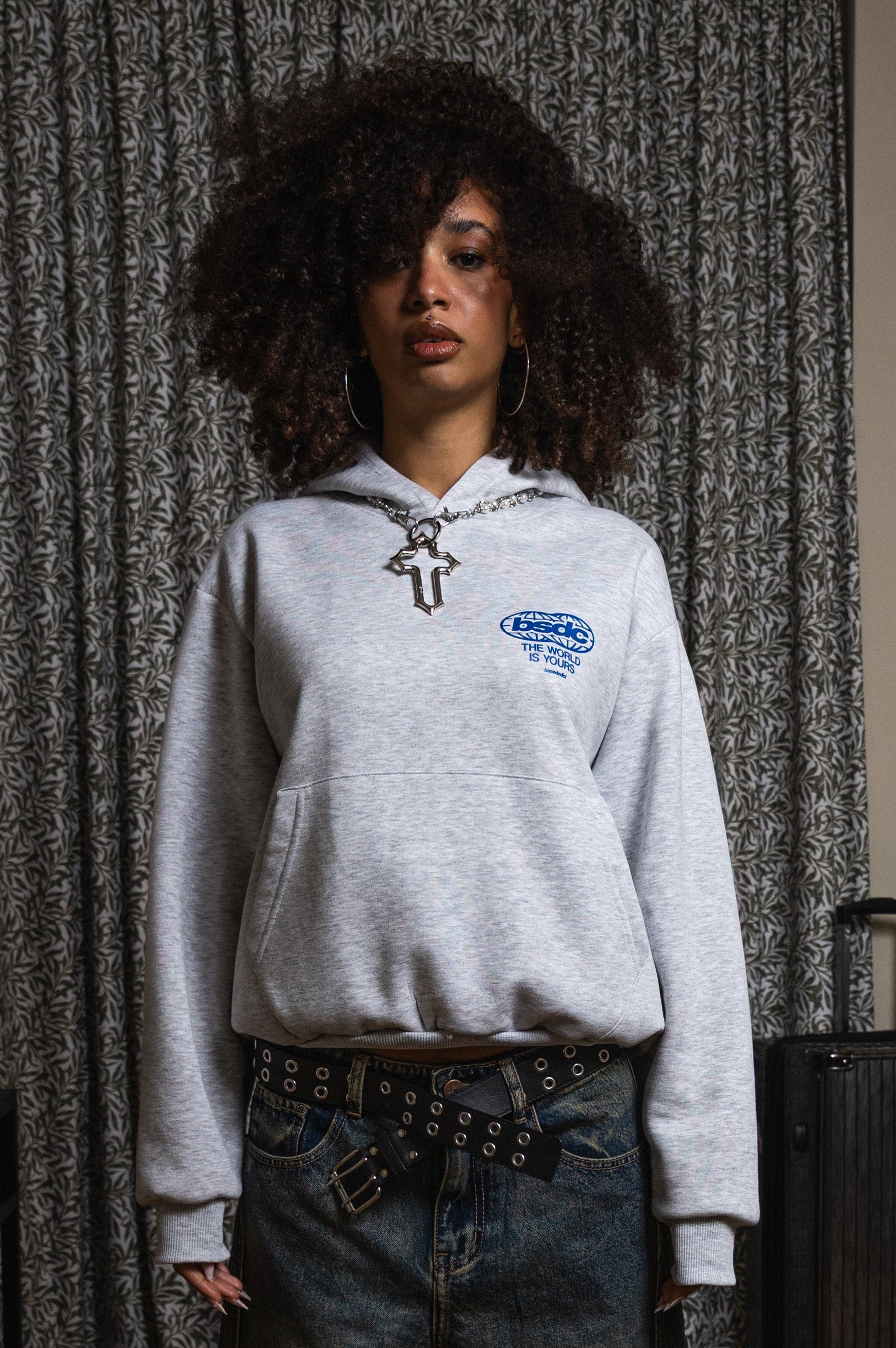 Hoodie "WORLD TOUR" Diplomatic Immunity AshGrey