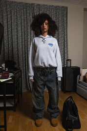 Hoodie "WORLD TOUR" Diplomatic Immunity AshGrey