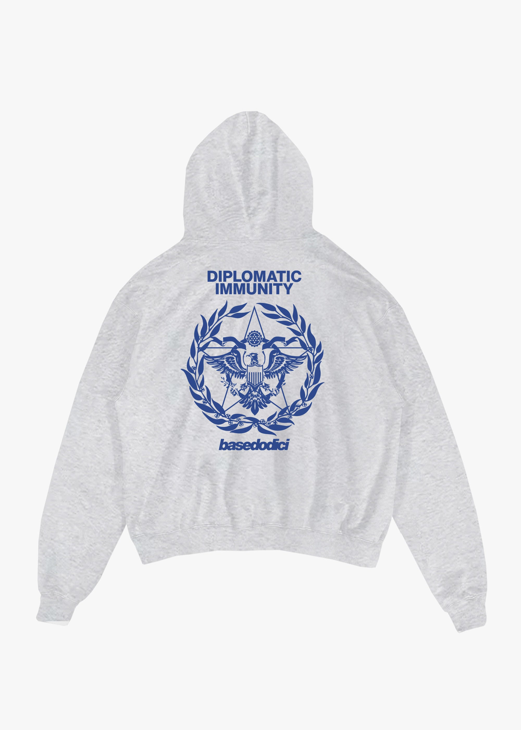 OCT2025_0000_HOODIE_WORLDTOUR_DIPLOMATICIMMUNITYASHGREYBACK_e29386eb-8192-46b6-a2ca-2c2b43e346c7.jpg