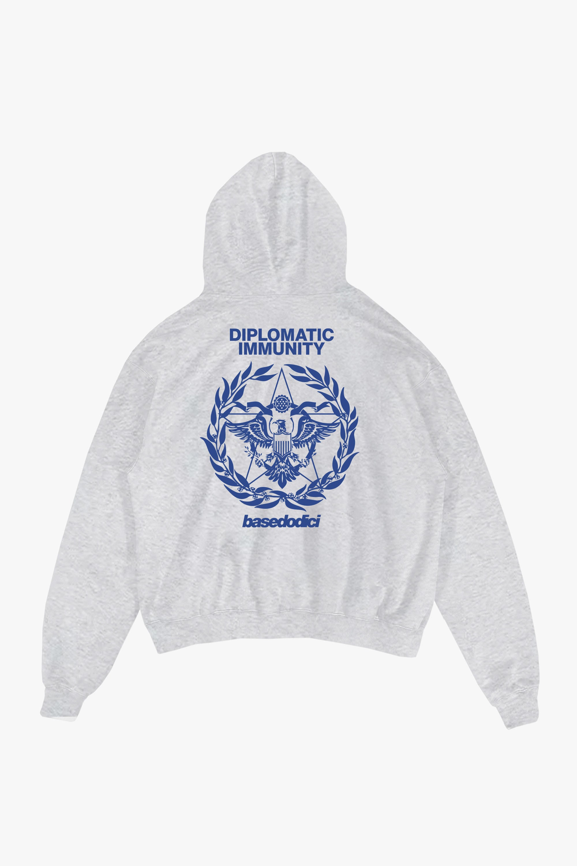 Hoodie "WORLD TOUR" Diplomatic Immunity AshGrey