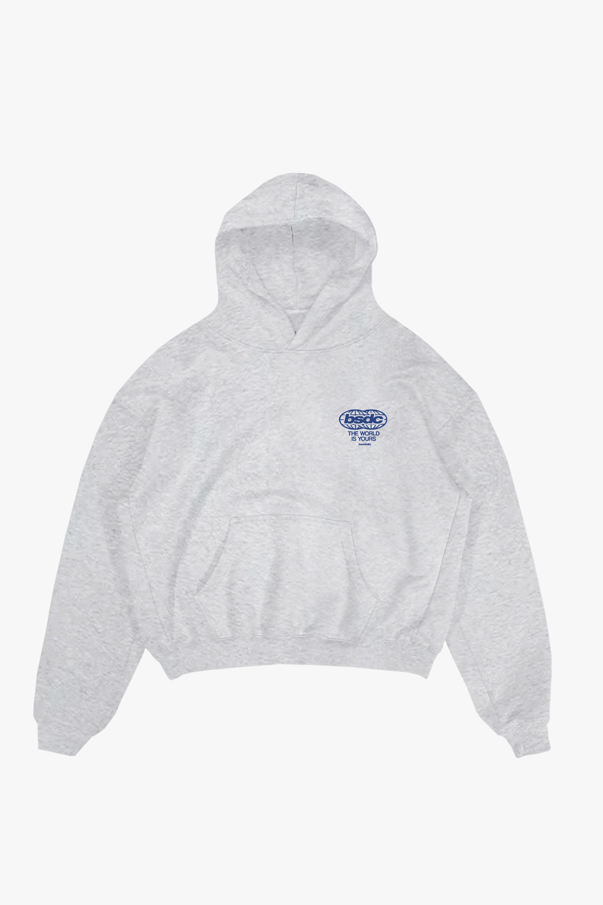 Hoodie "WORLD TOUR" Diplomatic Immunity AshGrey