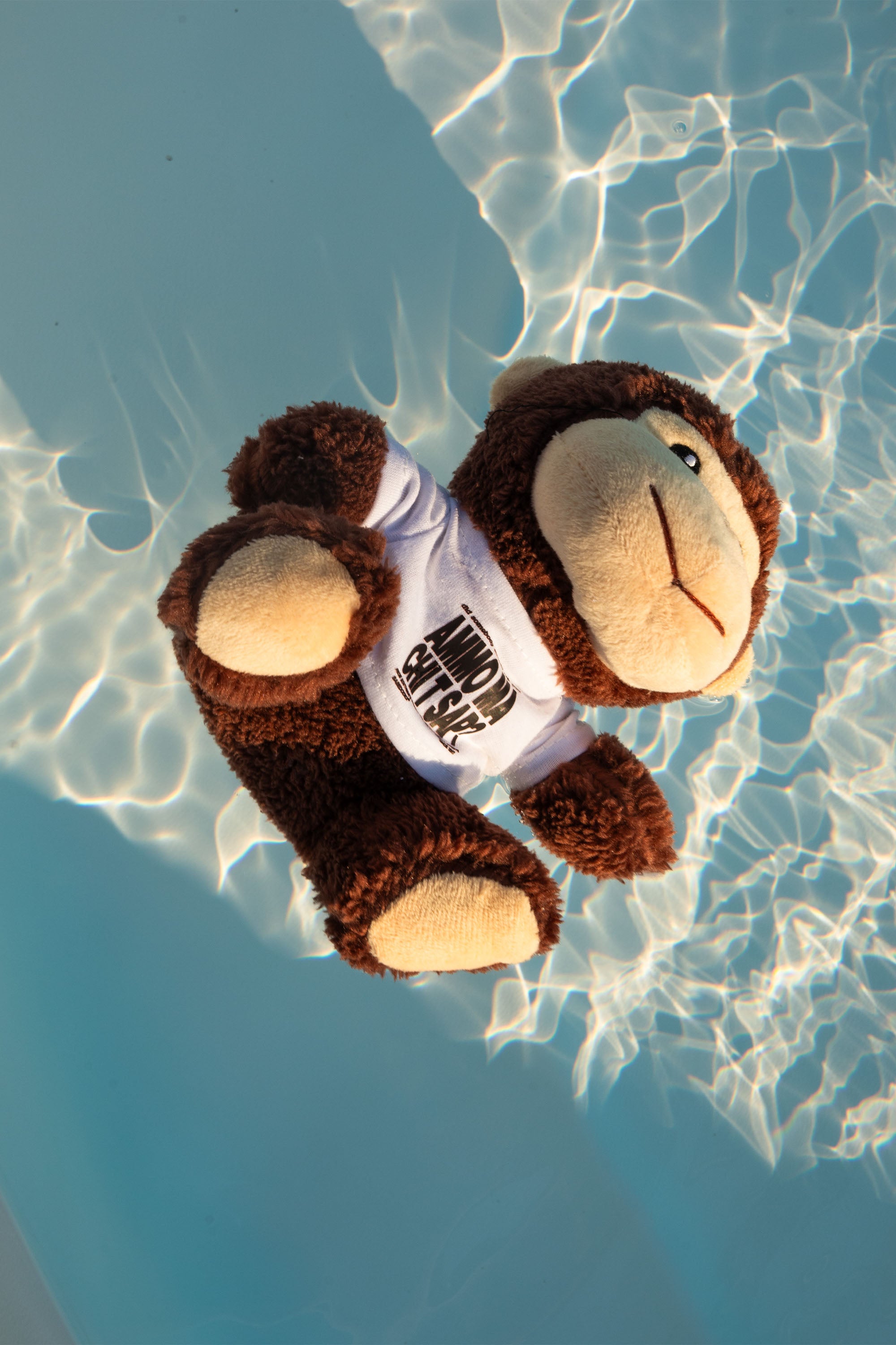 "AMMO" CHI'T'SAP Teddy Bear