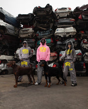 Hoodie “THECRUISE” Twelve Pink