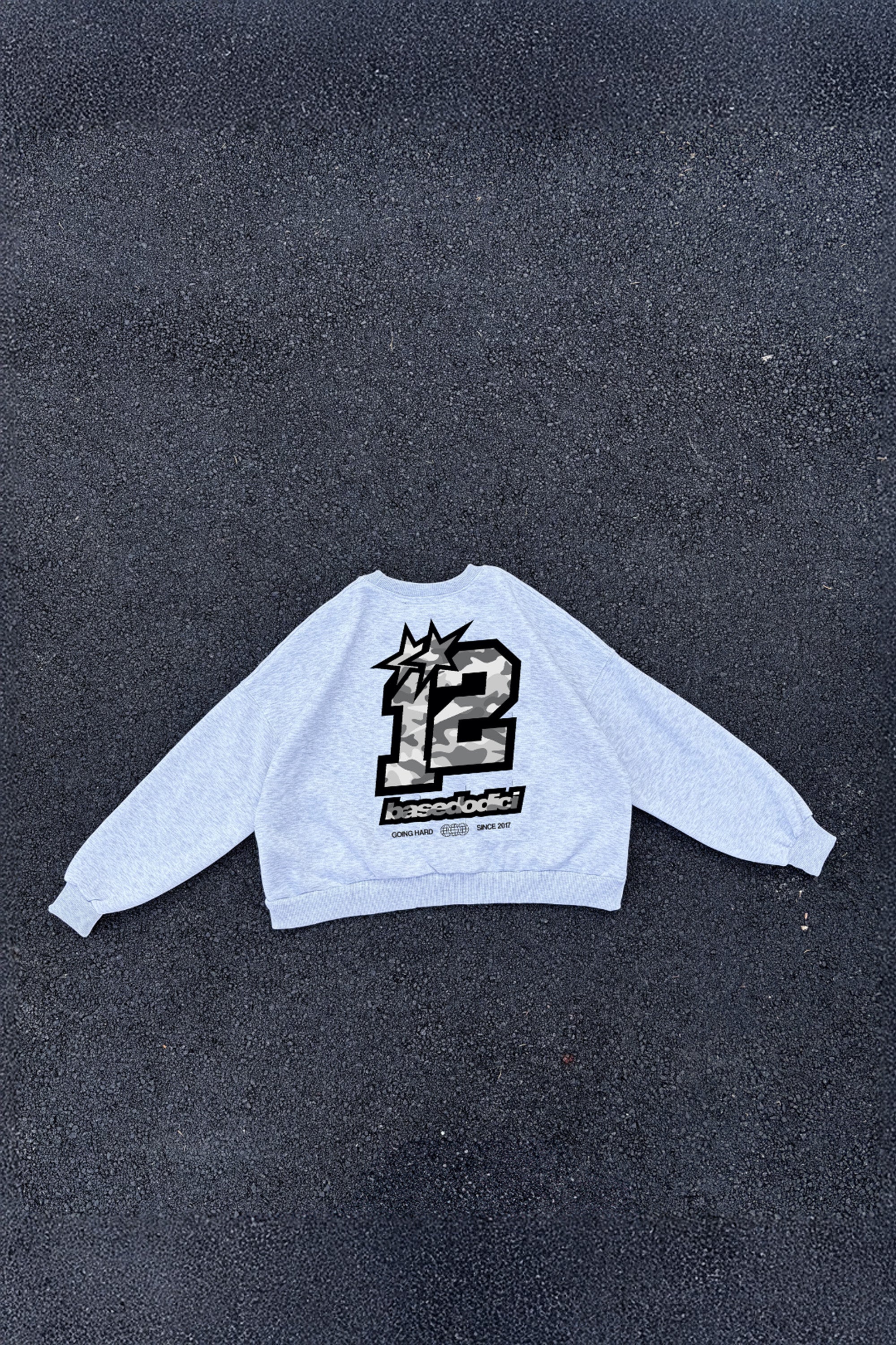 Crewneck “CAMO4PLAYERS” BackLogo Grey/CamoGrey