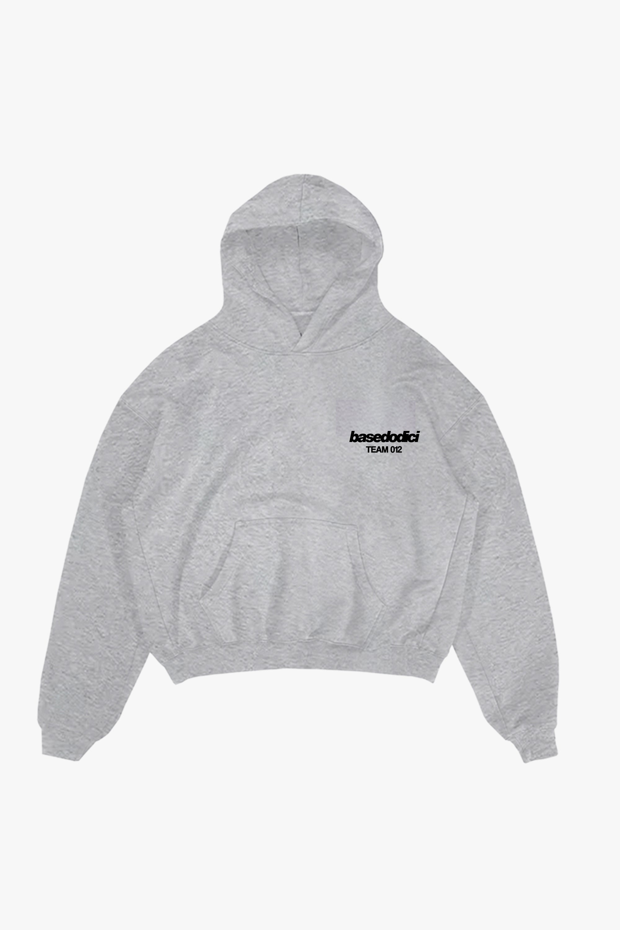 Hoodie "TEAM012" Back 12 AshGrey/Black