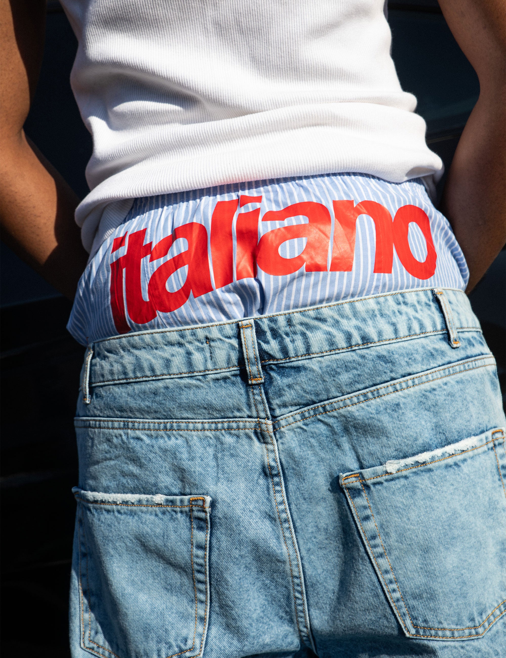 BOXER-ITALIANO-BACK2.jpg