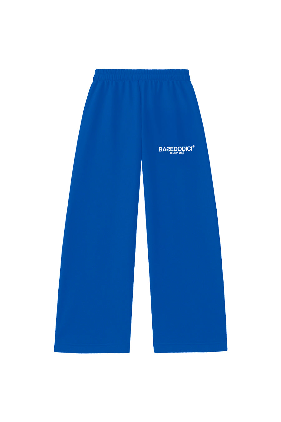 Fleece Pants “THEICON” Team012 Blue 