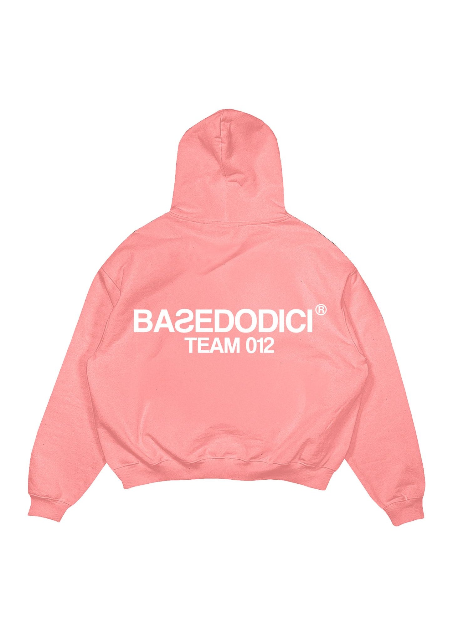 HOODIEPINKBACKB12.jpg