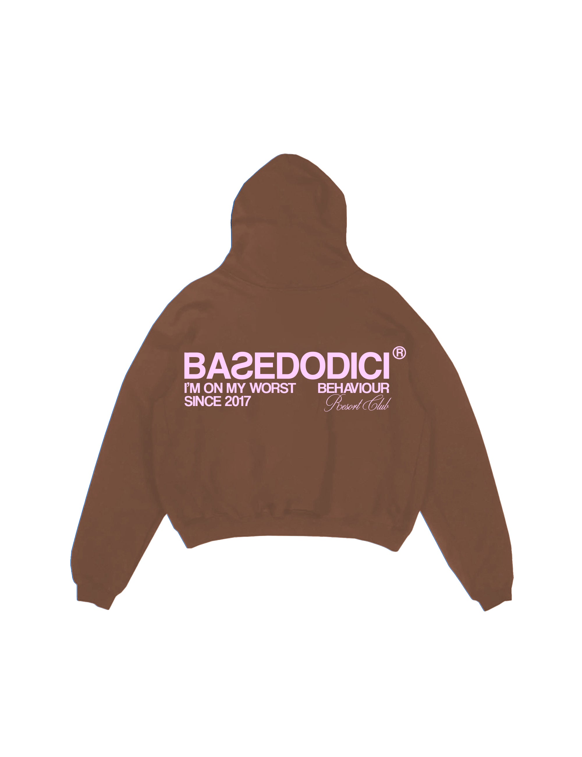 HoodieBoxy1back.jpg