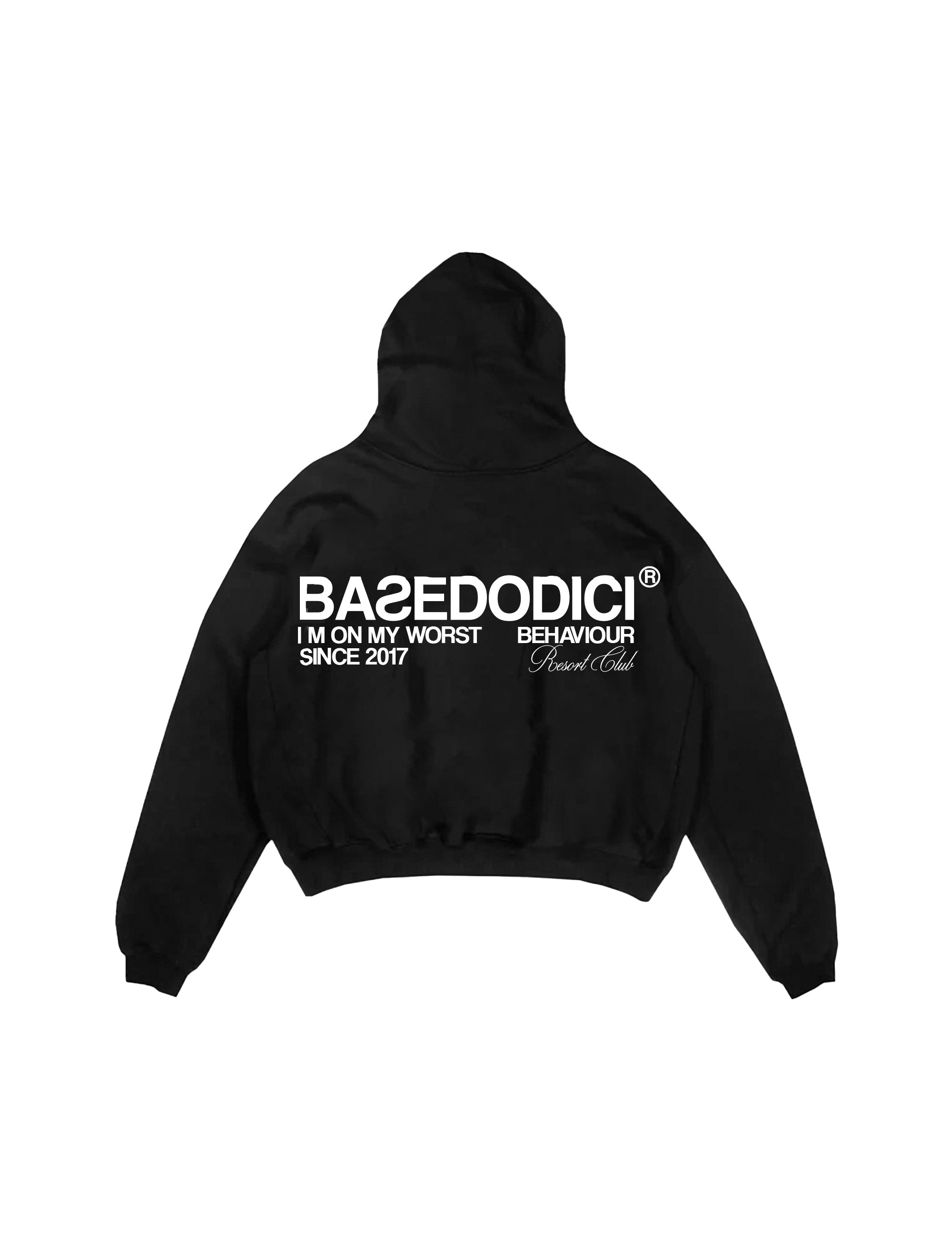 HoodieBoxy2back.jpg