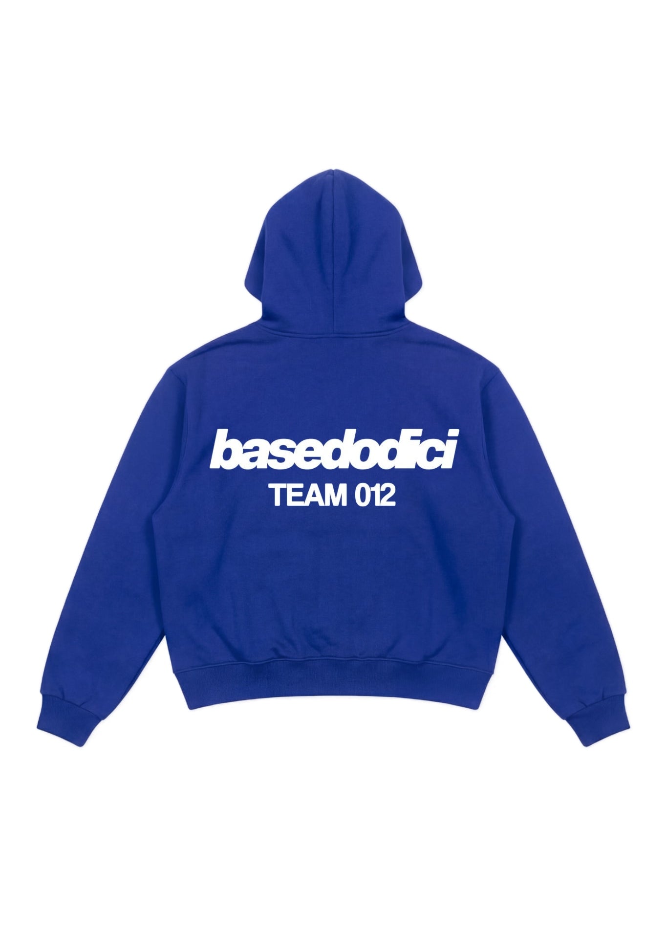 Hoodie_TEAM012_BackLogoBlue_Whiteback.jpg