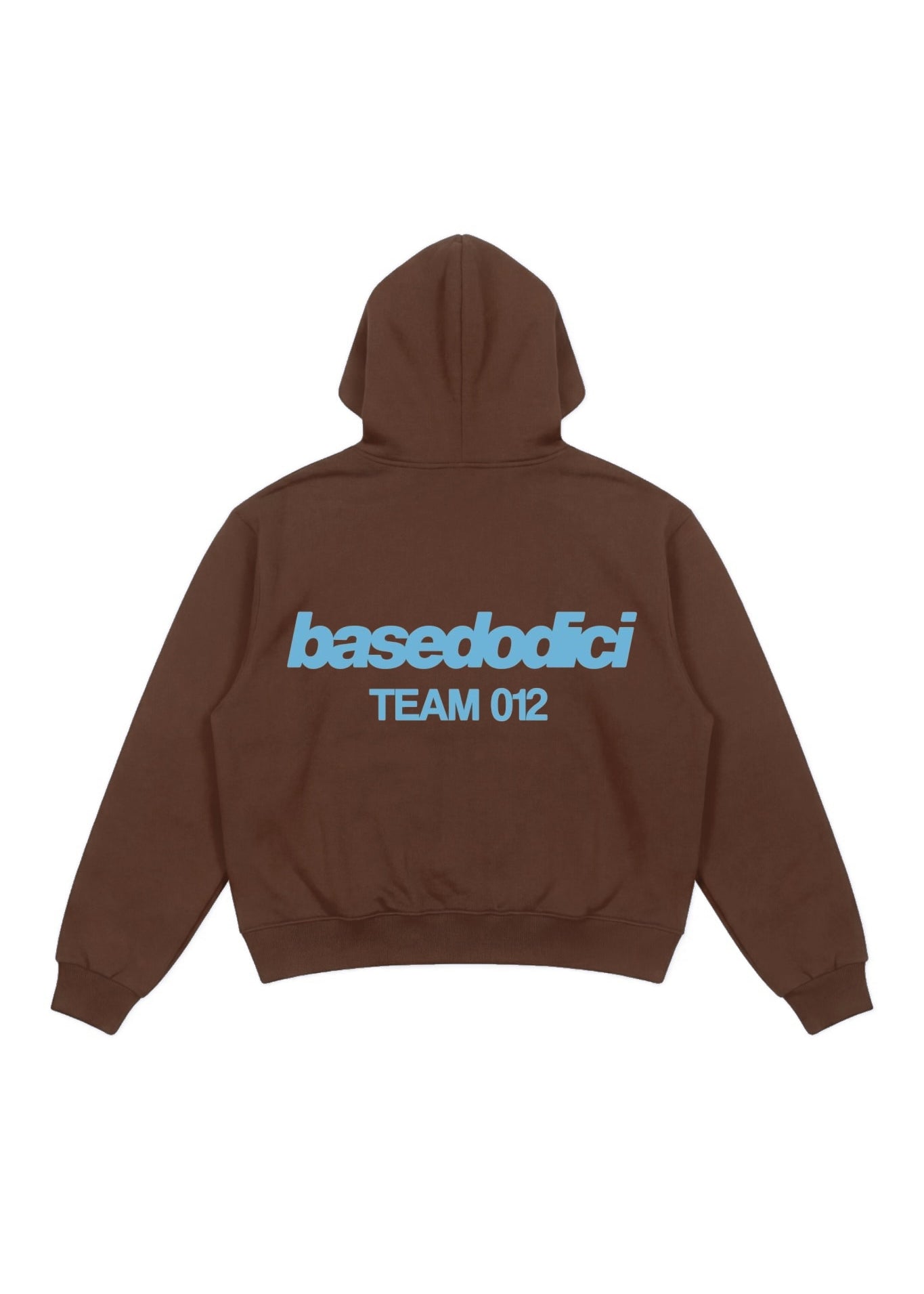 Hoodie_TEAM012_BackLogoBrown_AzureBACK.jpg