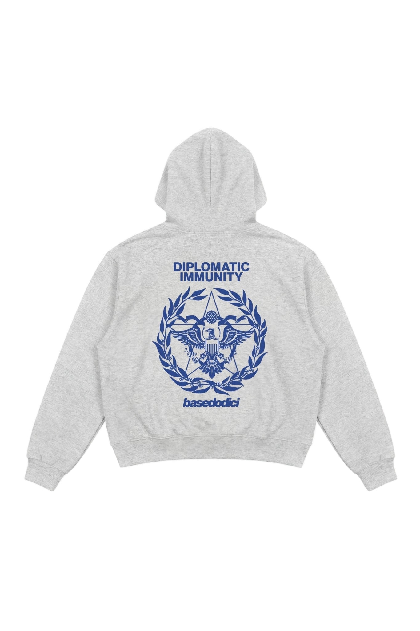 Hoodie "WORLD TOUR" Diplomatic Immunity AshGrey