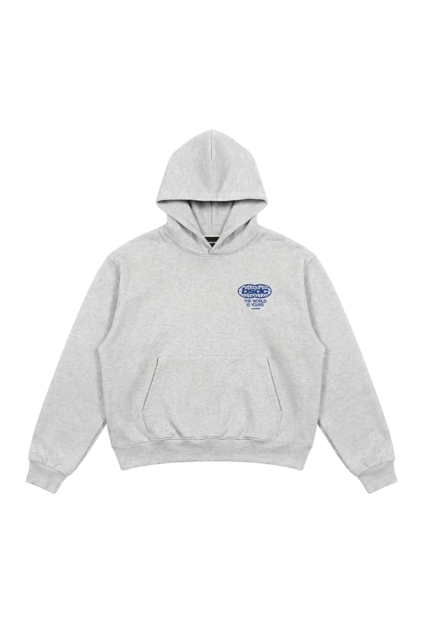 Hoodie "WORLD TOUR" Diplomatic Immunity AshGrey