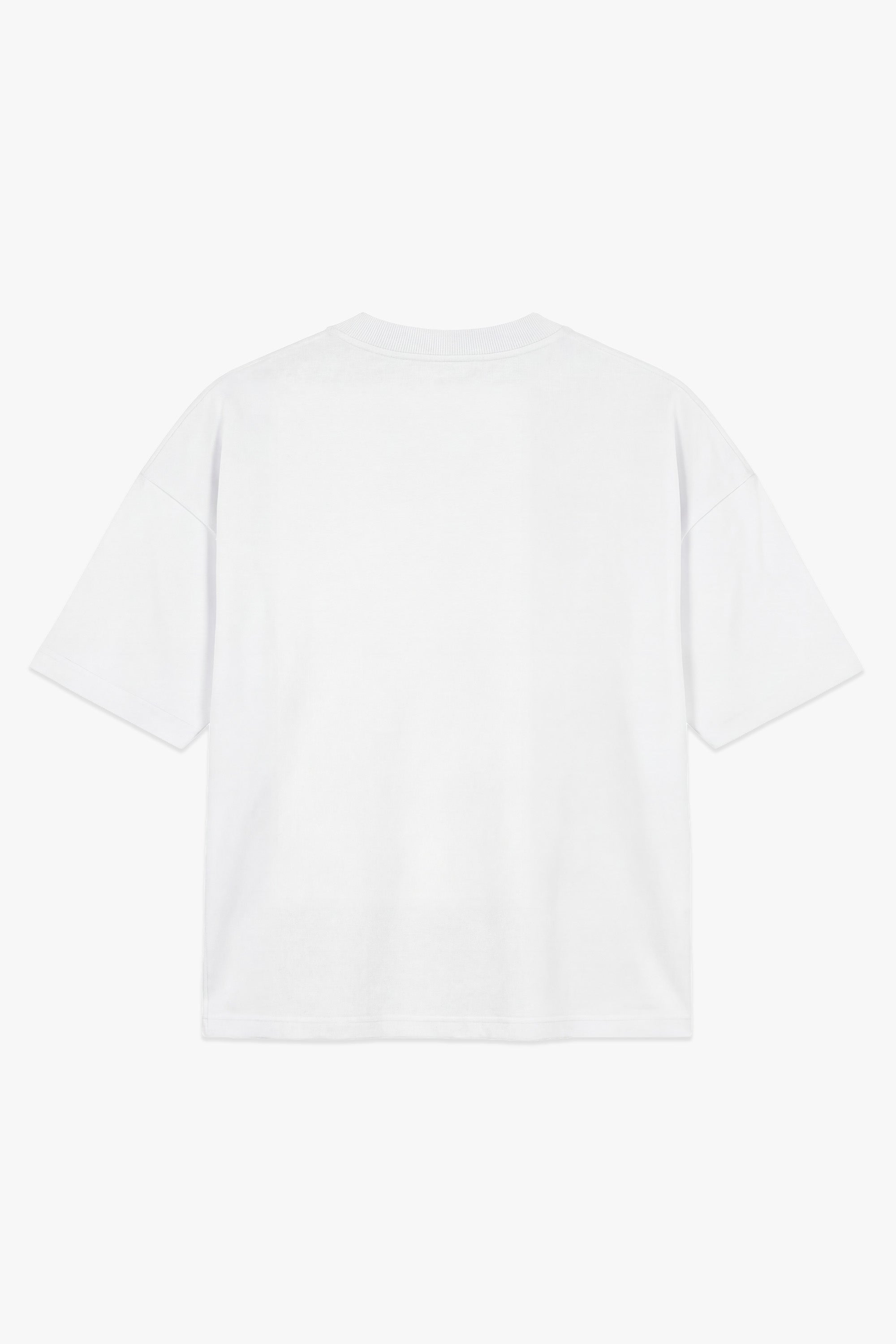 T-Shirt "LAST DELIVERY" University White