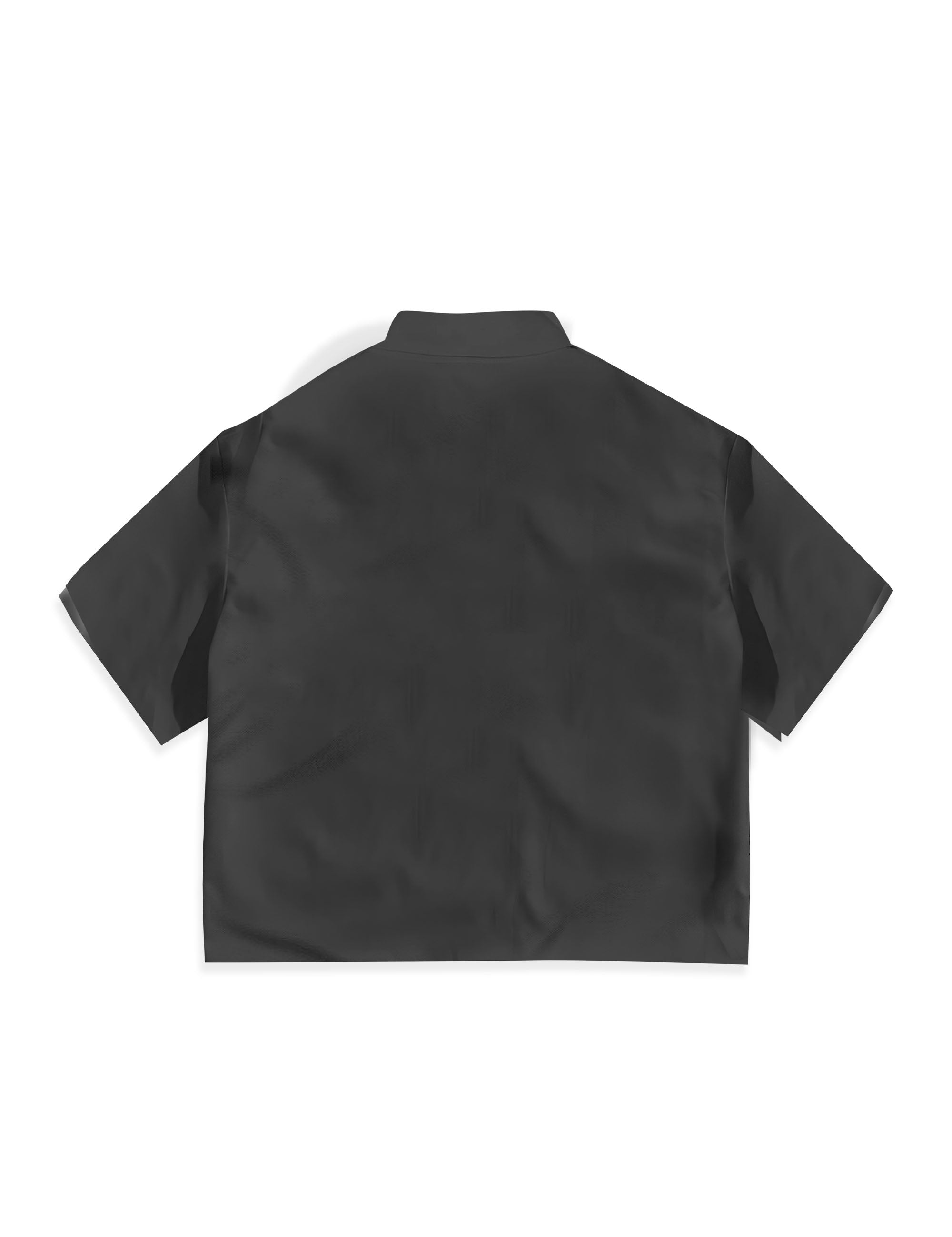 OPTIM_0006_BackNera.jpg
