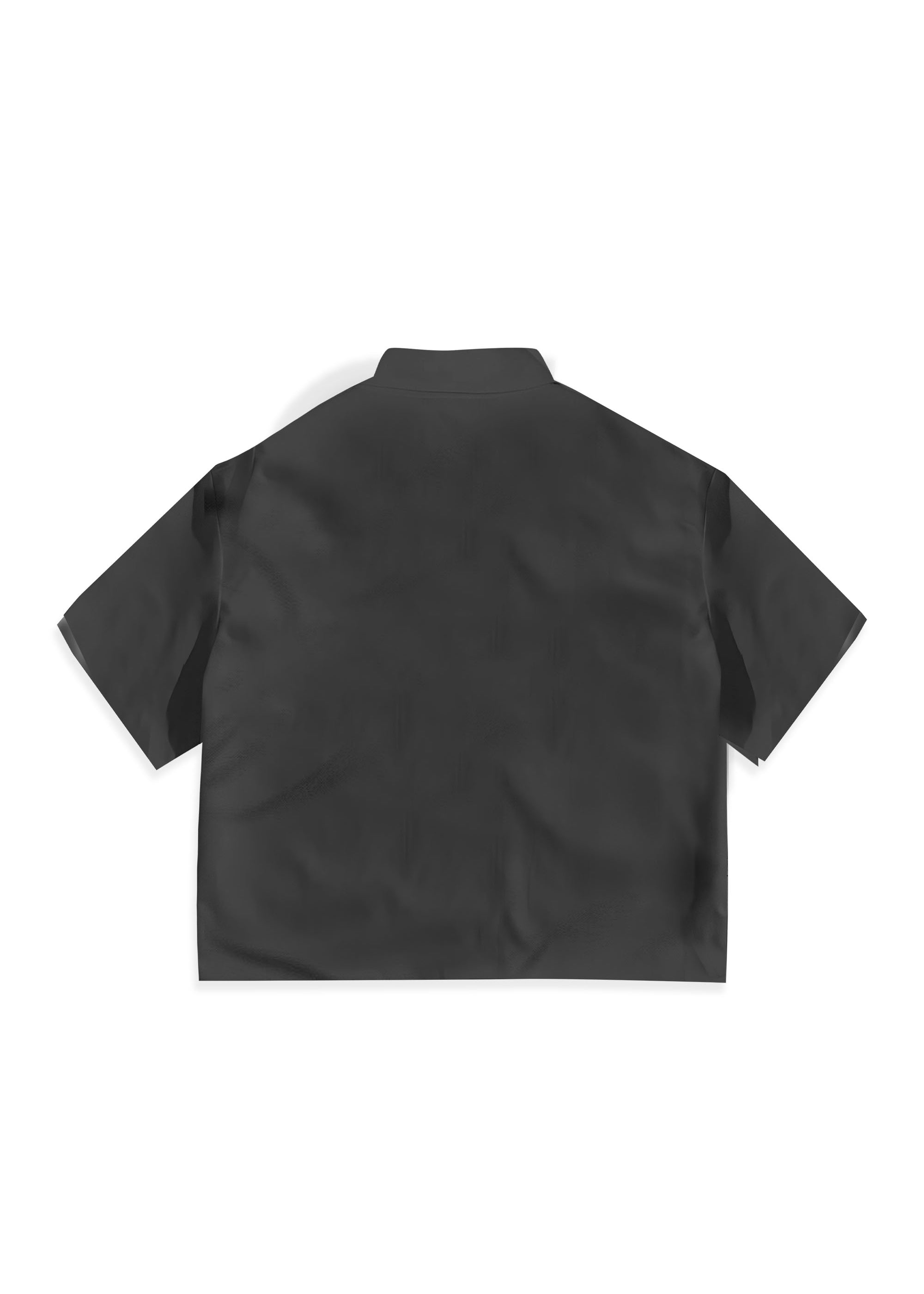 OPTIM_0006_BackNera.jpg