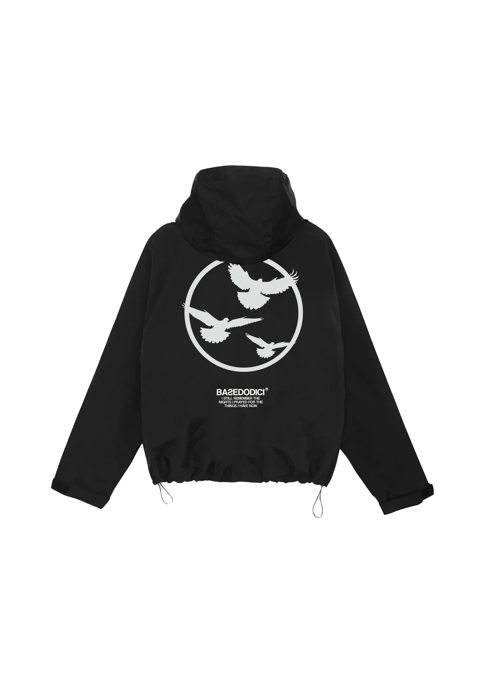RainDove.jpg