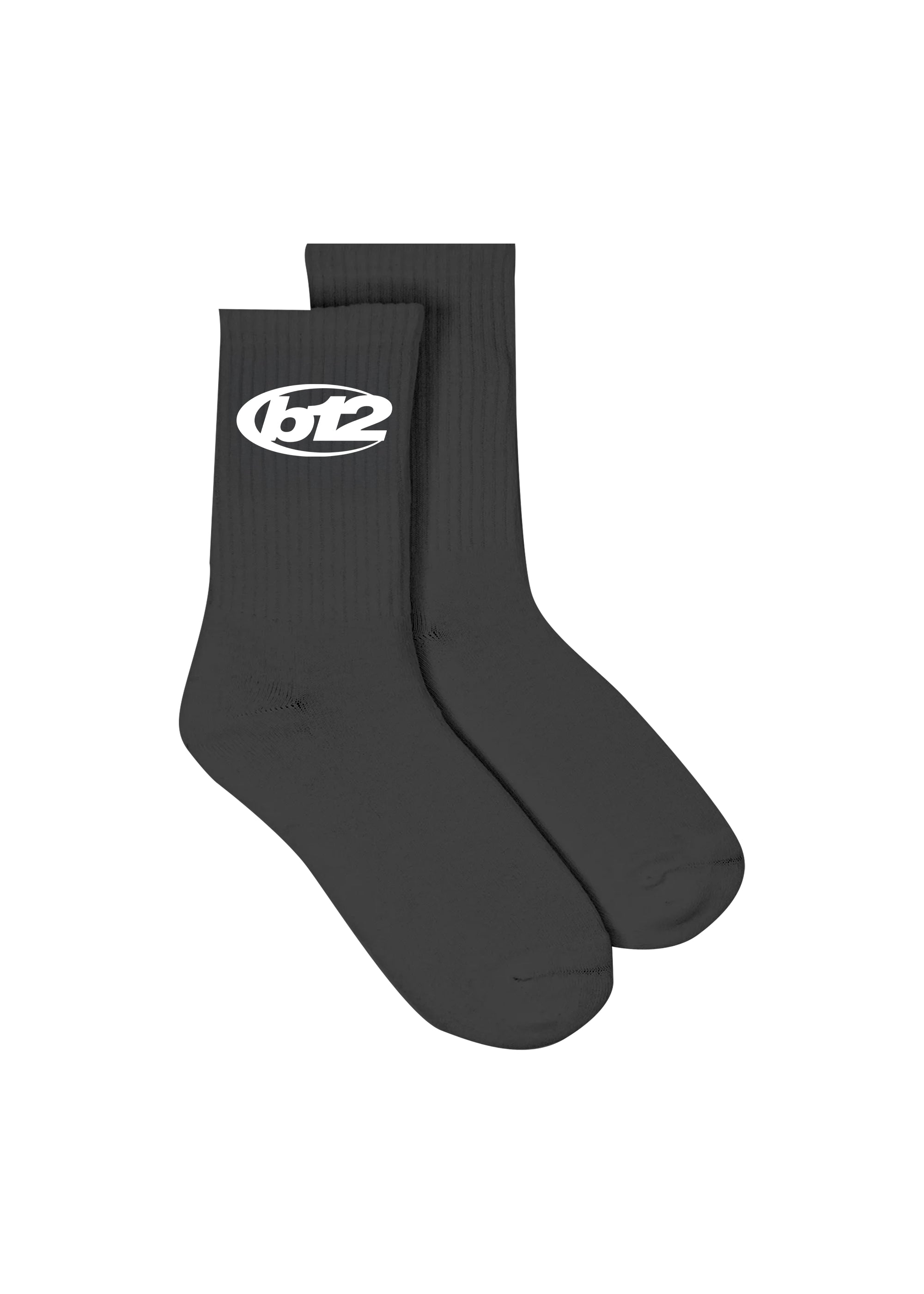 SOCKSNERI2B12.jpg