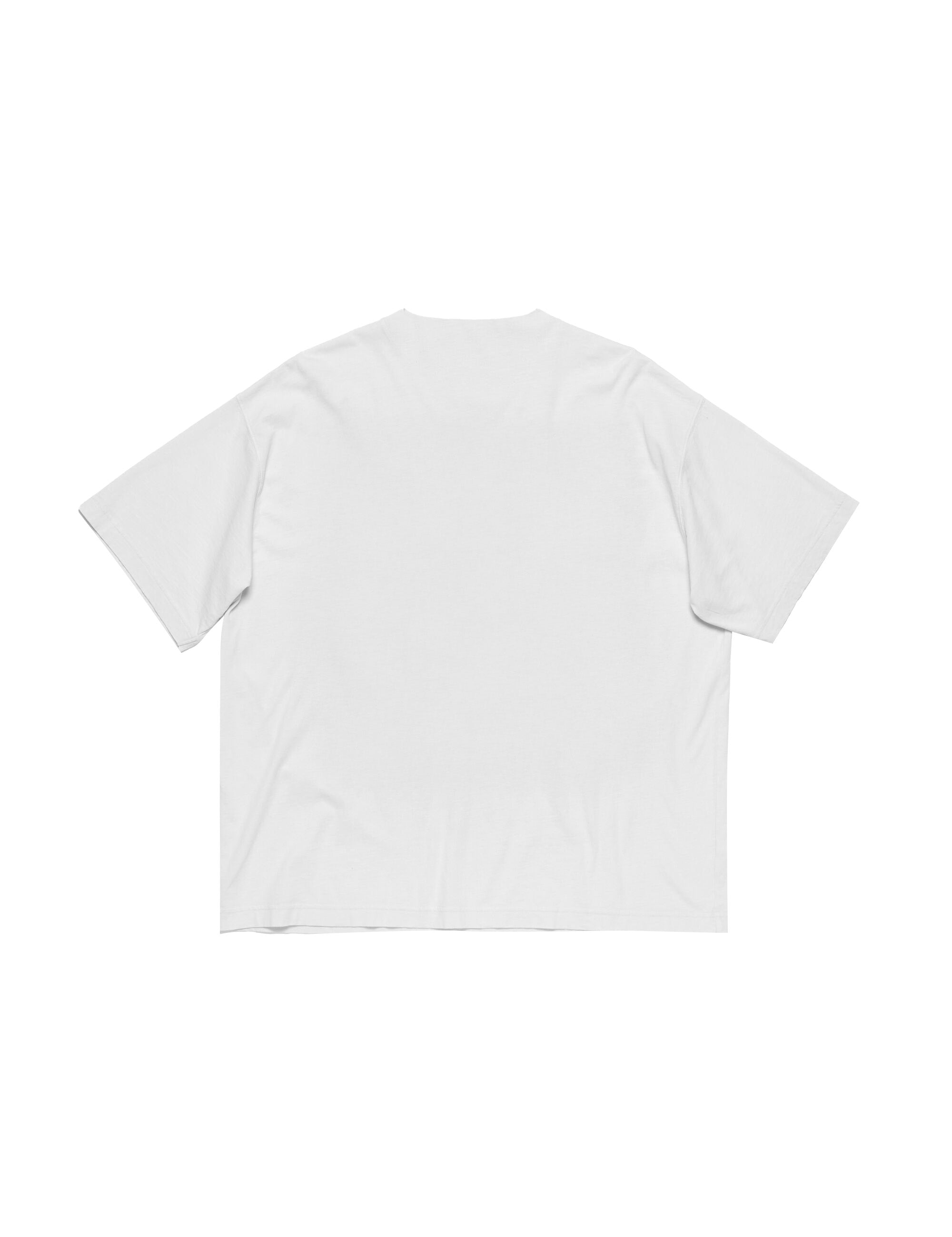 T-ShirtWhite-BACK.jpg