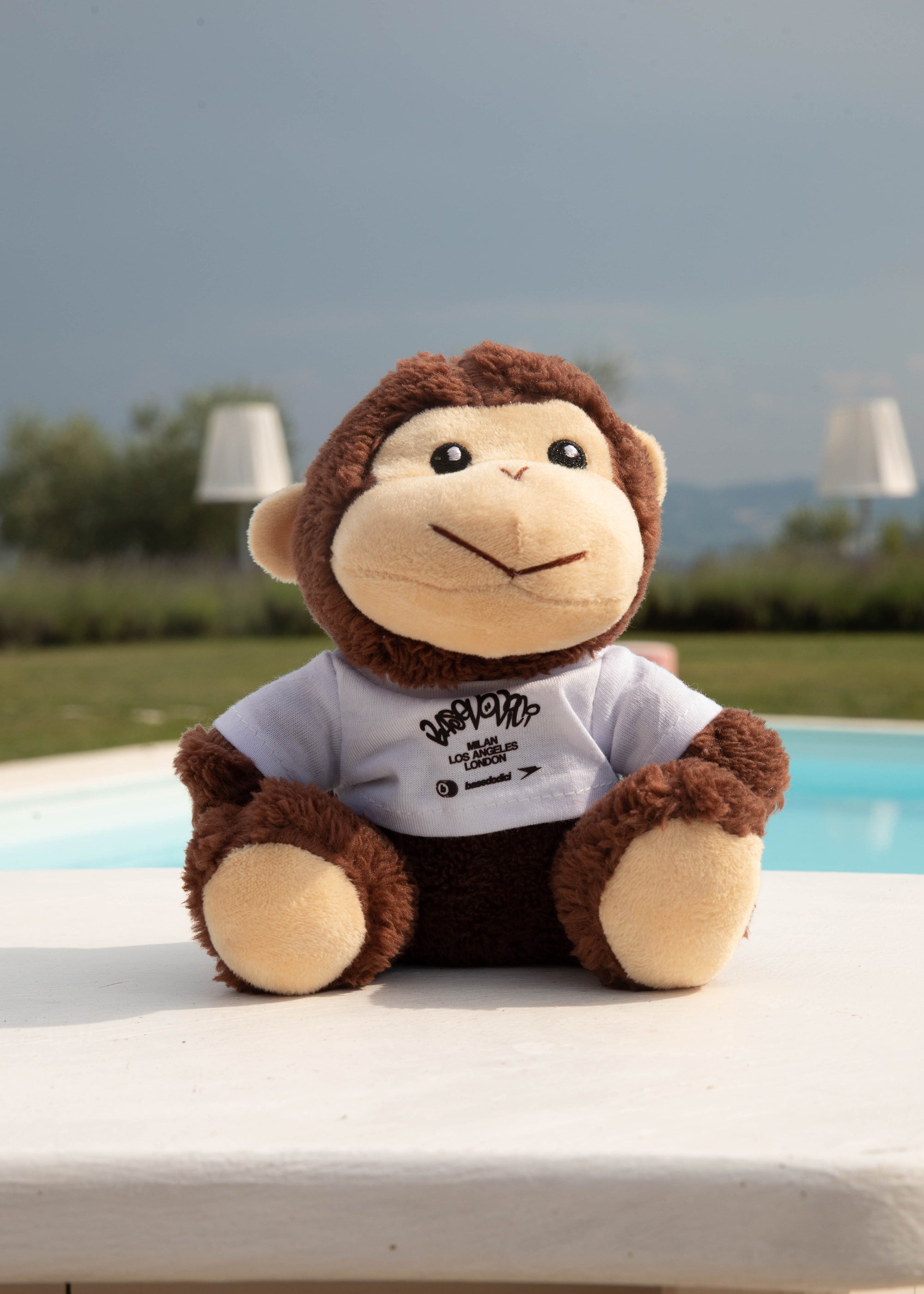 TEDDY-BEAR-02.jpg