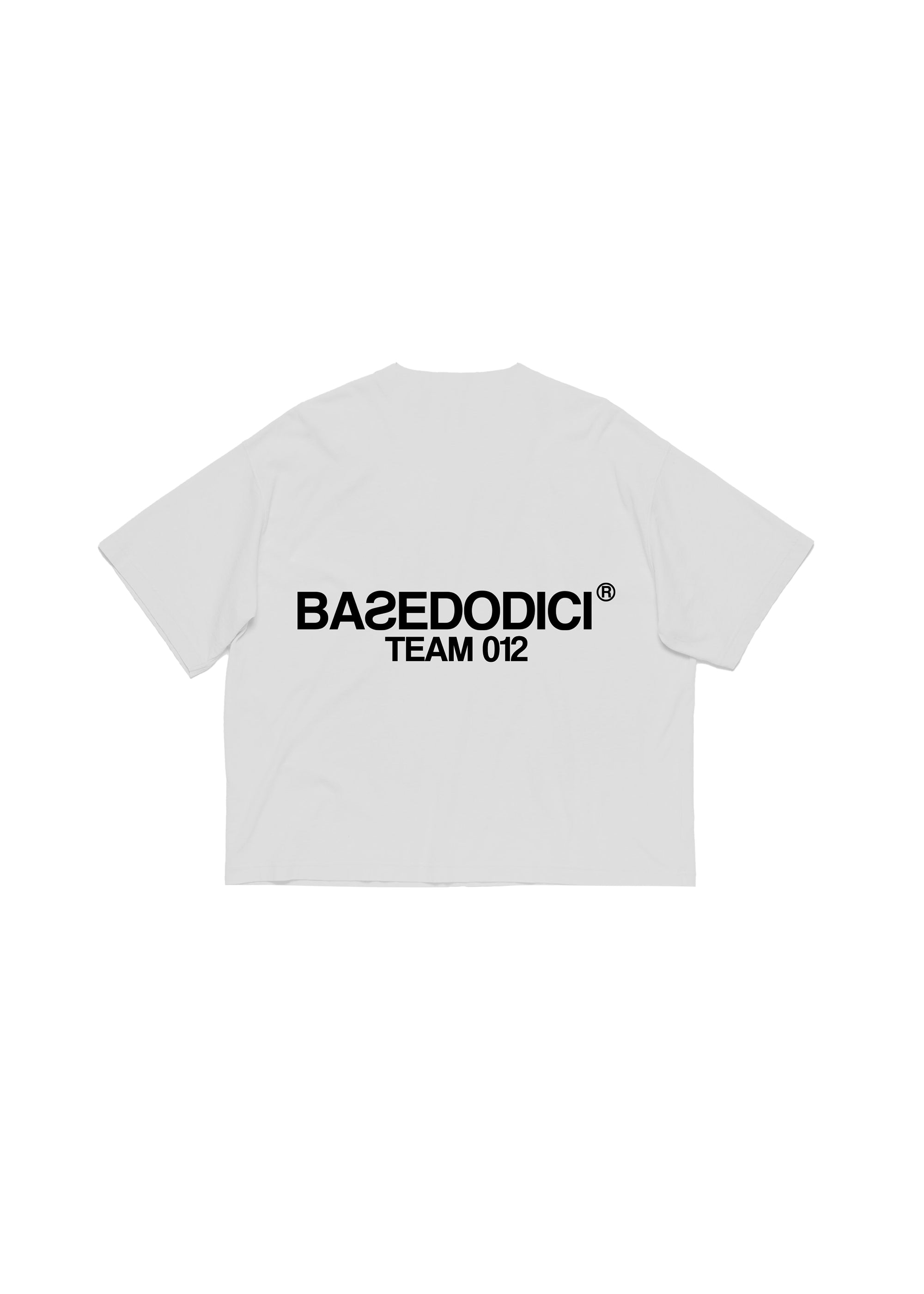 TEE-TEAM012-WHITE-BACK-01.jpg