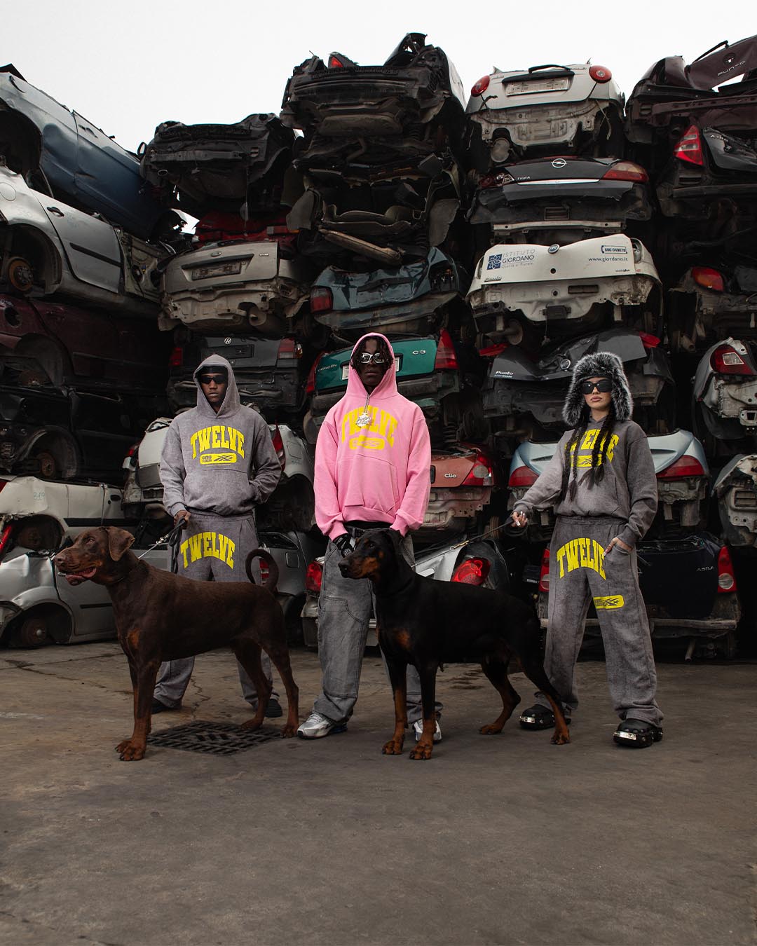 Hoodie “THECRUISE” Twelve Pink - BASEDODICI®