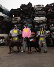 Hoodie “THECRUISE” Twelve Pink - BASEDODICI®