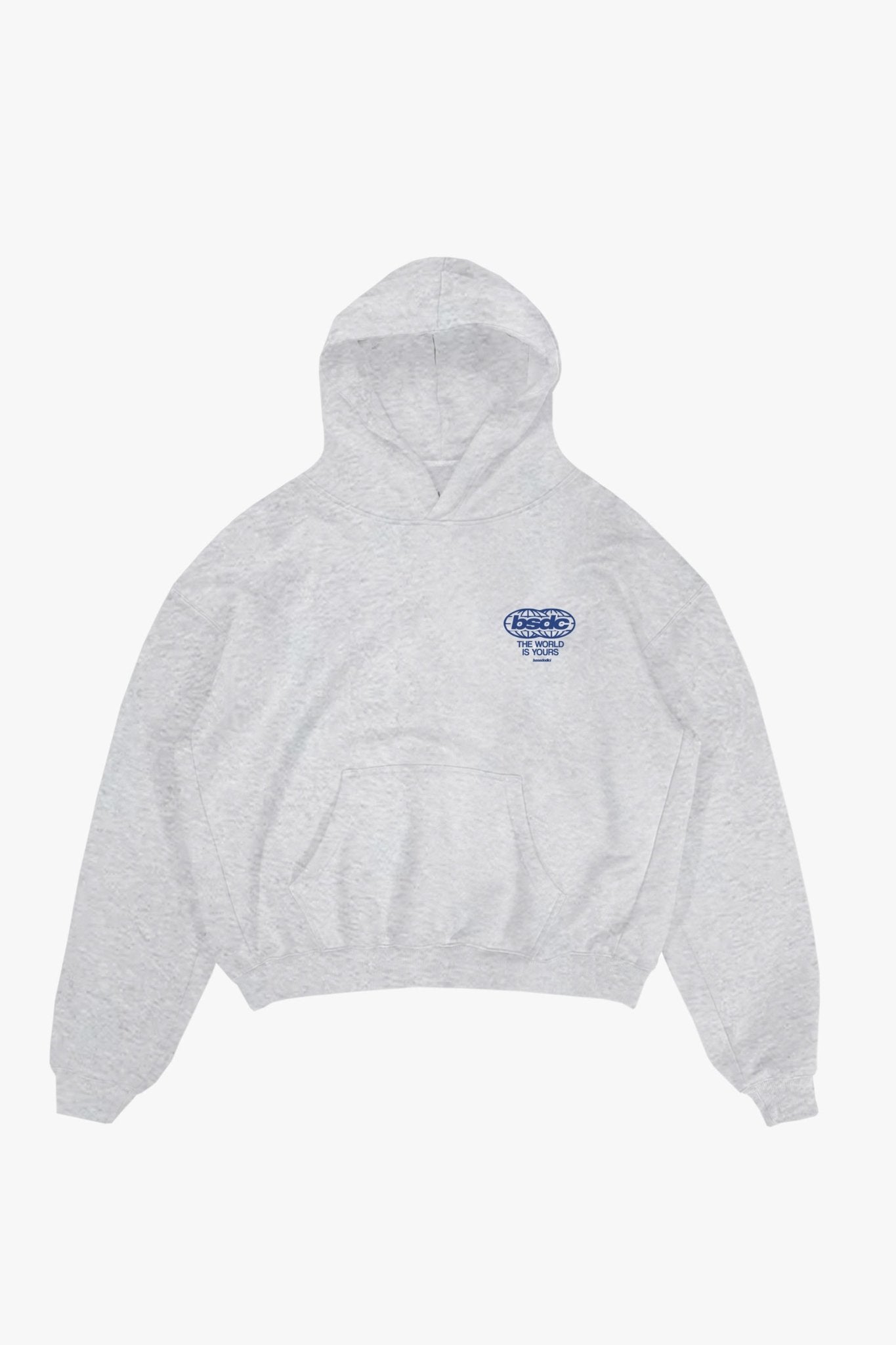 Hoodie "WORLD TOUR" Diplomatic Immunity AshGrey - BASEDODICI®