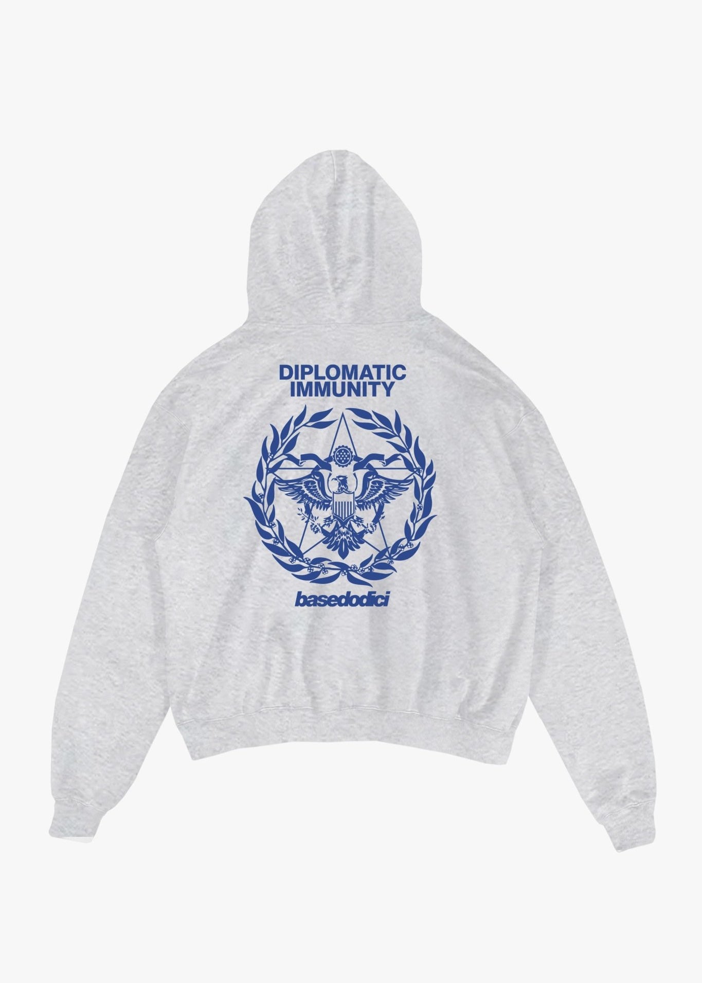 Hoodie "WORLD TOUR" Diplomatic Immunity AshGrey - BASEDODICI®