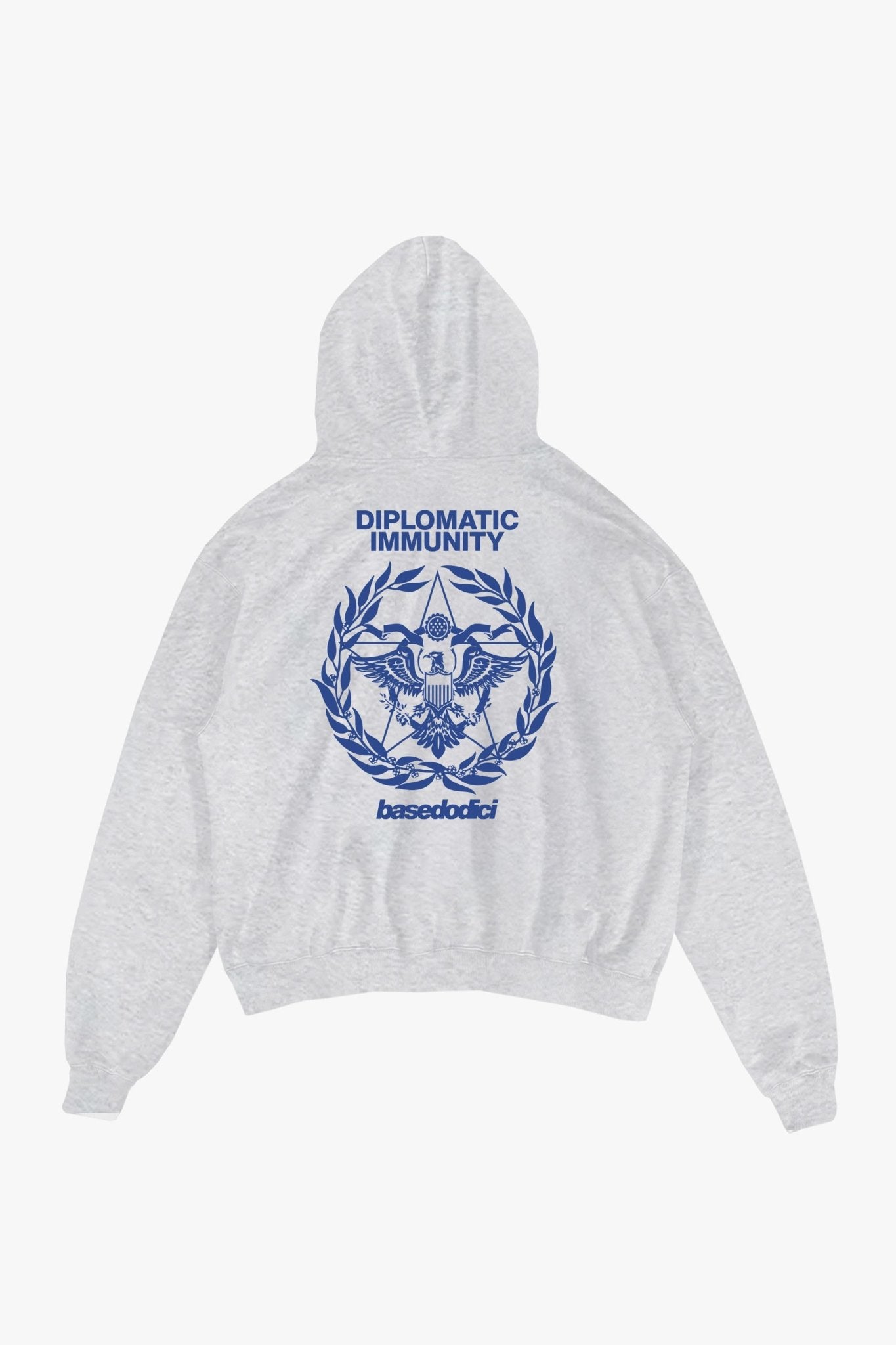 Hoodie "WORLD TOUR" Diplomatic Immunity AshGrey - BASEDODICI®